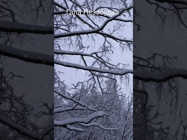 * Но Любовь не заморозить...