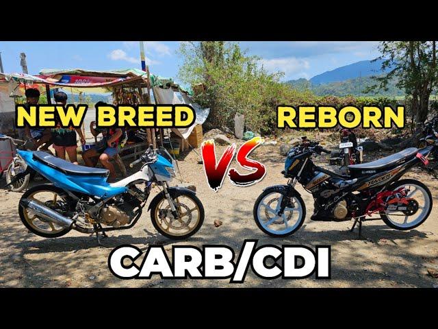 RAIDER CARB NEW BREED vs REBORN | CARB / CDI