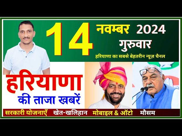 14 November 2024 Haryana News || हरियाणा की ताजा खबरें || Haryana Live News || CWB Hindi News