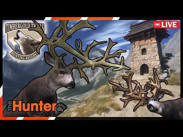 LIVE | Mulitplayer Hunting For Nontypicals & Trophies! | theHunter Classic