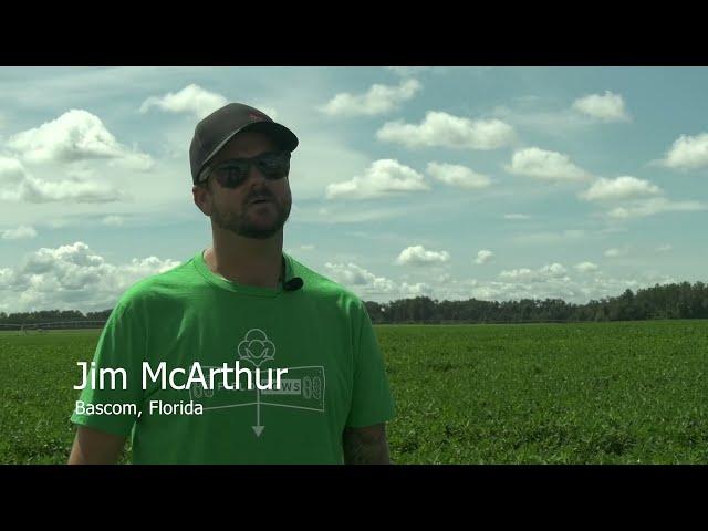 Field Rows and Field Shows: Jim McArthur