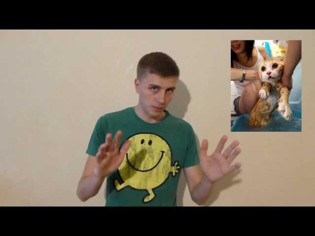 Выпуск #2 — Хороший Программист