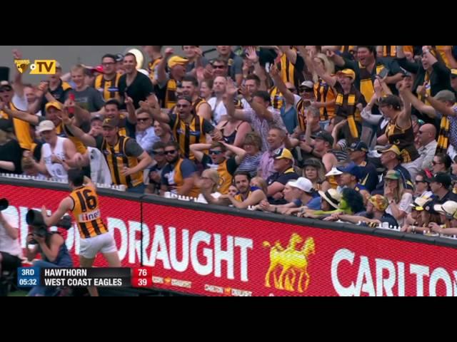 Top 10 goals from Hawthorn Three-Peat