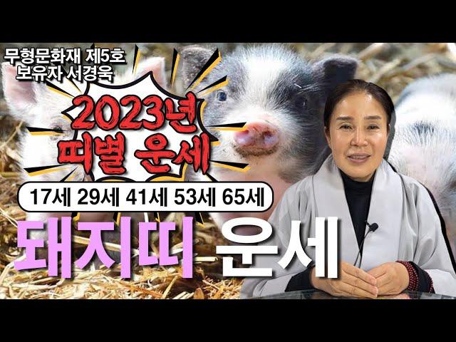 2023년 돼지띠 운세