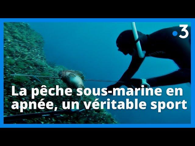 La pêche sous-marine en apnée est un véritable sport