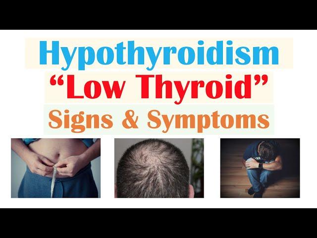 Signs of Low Thyroid Level (Hypothyroidism), & Why Symptoms Occur