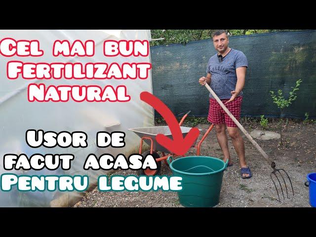 Cel mai bun fertilizant natural pentru gradina de legume