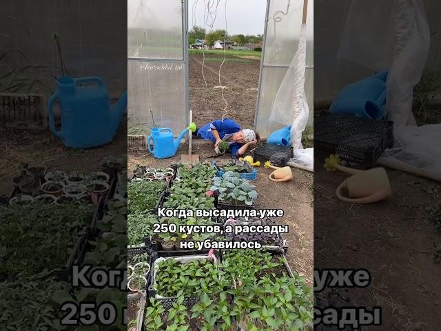 Все дачники на майские #дача #сад #огород #цветы #лето #юмор #garden #урожай