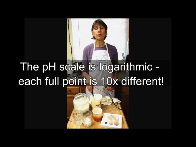 pH and Acid in Cheesemaking