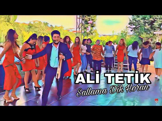 Ali Tetik - Sallama Dik Horan ( Horon ) Emre Sarıcı Düğün