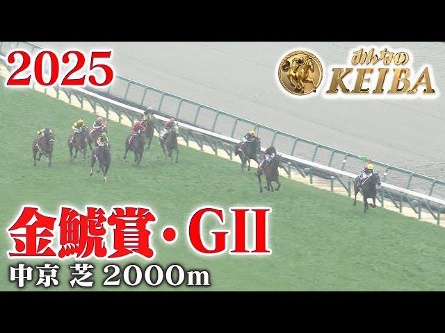 【金鯱賞・GⅡ】金鯱賞 中京 芝 2000m 2025 レース  【みんなのKEIBA】