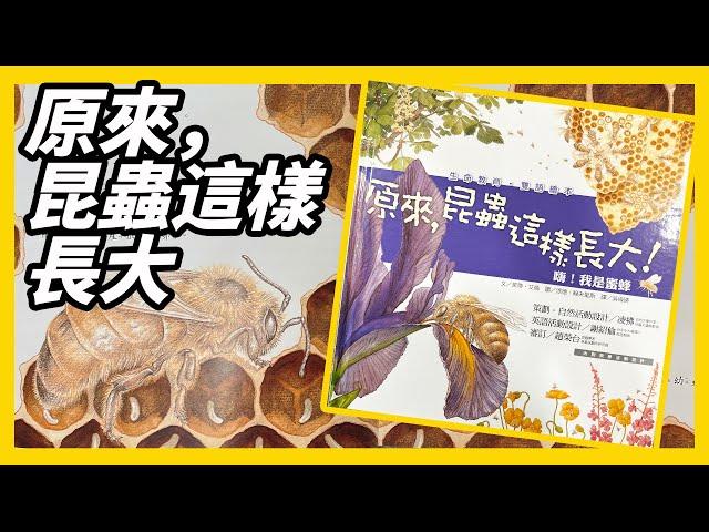 【 米米老師說故事 】EP1 原來，昆蟲這樣長大嗨！我是蜜蜂｜兒童故事｜兒童睡前故事｜幼兒繪本｜說故事