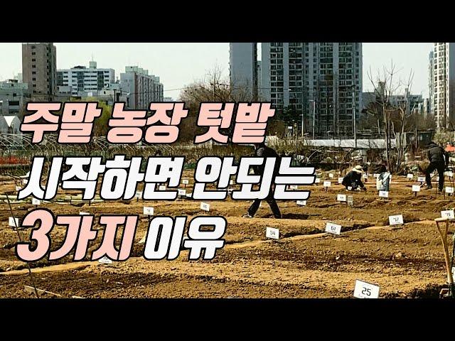 [1편] 주말농장, 텃밭 고민하고 있다면? #주말농장#주말텃밭