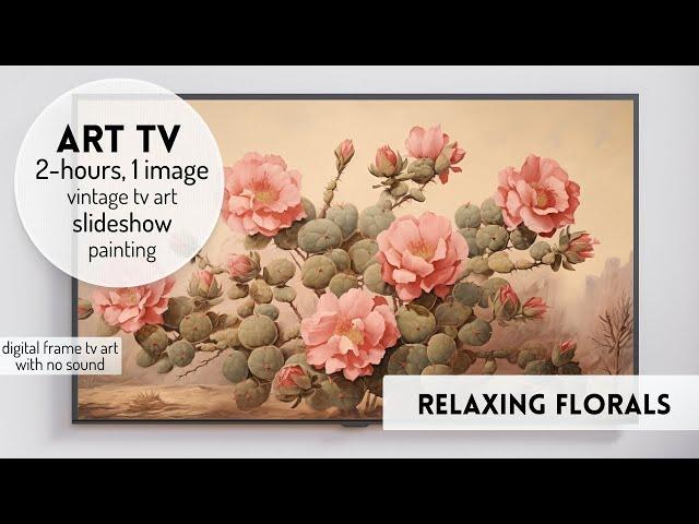 Vintage Frame TV Art Gallery Background Screensaver Wallpaper 4K No Sound Desert Spring Flowers