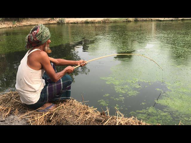 Hook Fishing - Traditional Hook Fishing - Village Daily Life (Part-67)