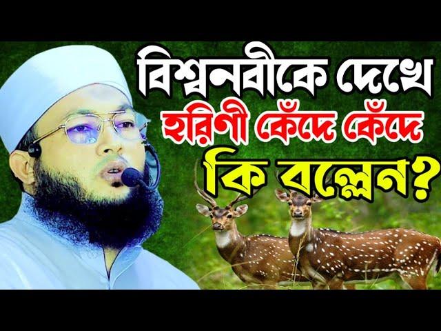 বিশ্বনবী ও হরিণের হৃদয় বিদারক ঘটনা || Mawlana Al-Amin araihazari waz || মাওলানা আল-আমিন ওয়াজ