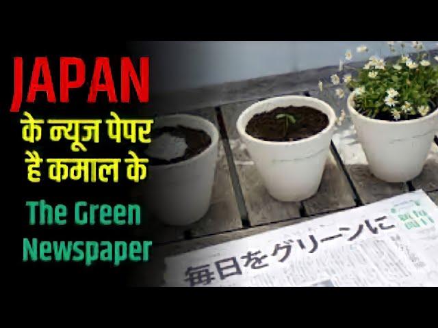 Japanese Green newspapers ||Amazing facts#shorts