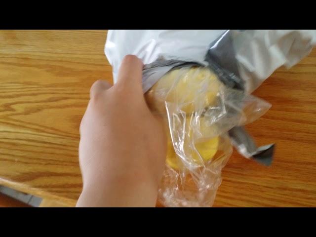 Isabelle animal crossing plush unboxing