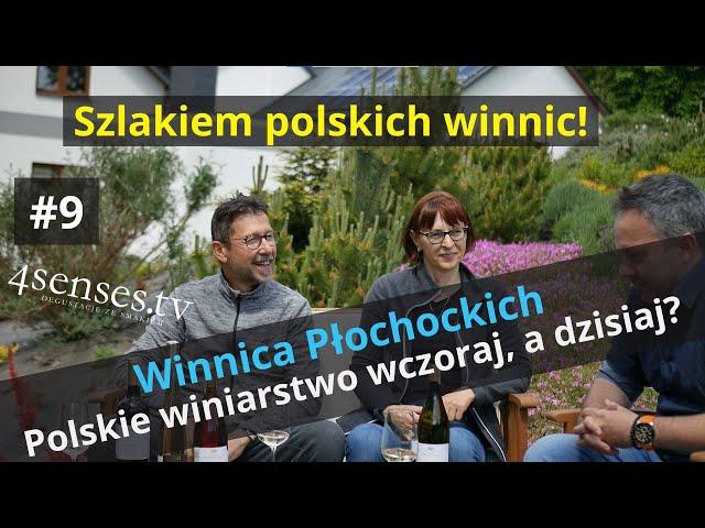 Szlakiem Polskich Winnic #9 | Winnica Płochockich | Polskie winiarstwo wczoraj, a dzisiaj?