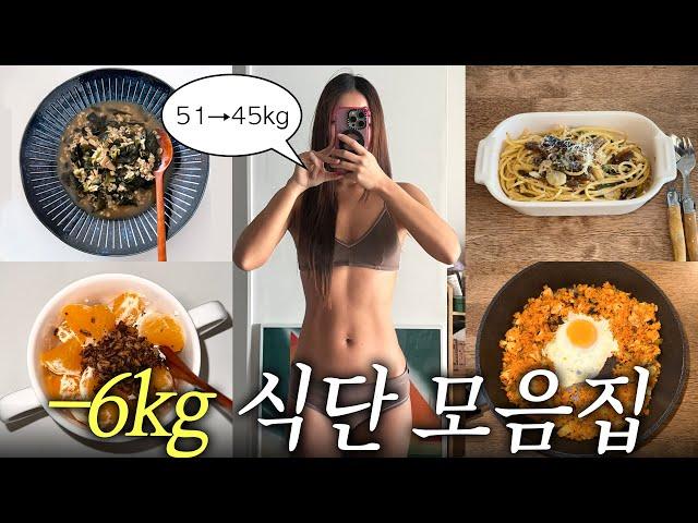 -6kg 보통에서 마름가기 성공한!! 다이어트 식단 브이로그 존맛 레시피 다수 공개....