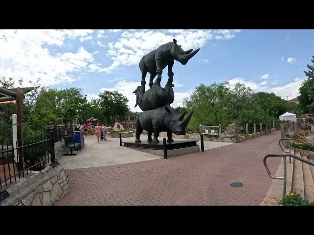 The San Antonio zoo Texas summer 2023 