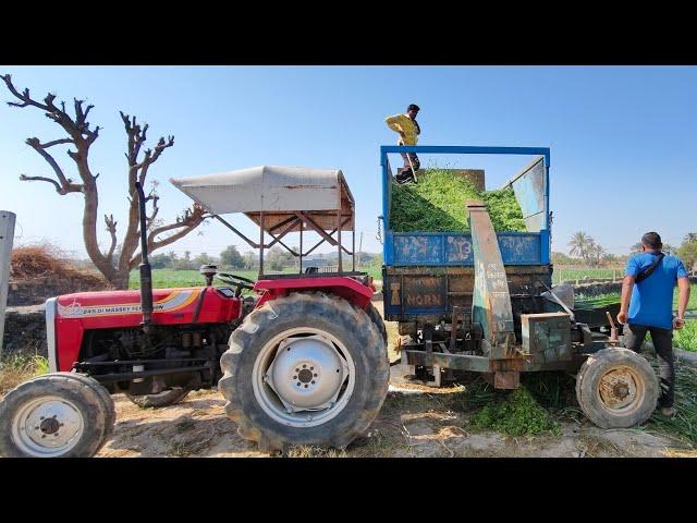 Cow Cattle Feed Grass Cutting Machine For Dairy Farm #cow #cattle #feed #grass #machine #farming