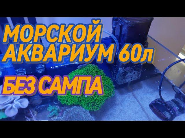 Морской аквариум 60л на минималках, без сампа.