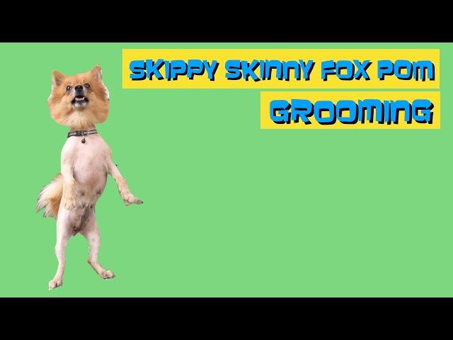 SKIPPY SKINNY FOX GROOMING | JOVZ PIN