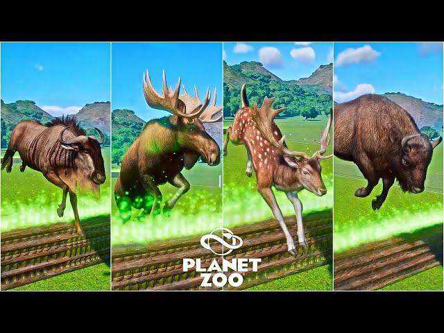 Planet Zoo Animals Fire Race | Bison, Blue Wildebeest, Moose, Sable Antelope, European Fallow Deer