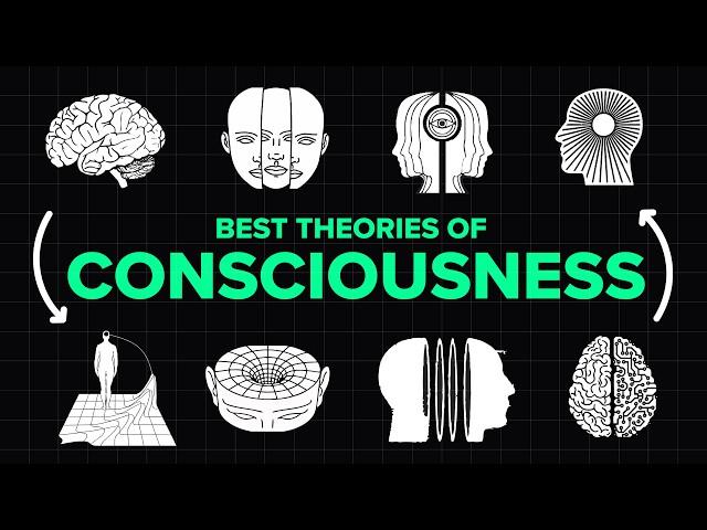 2+ Hours of Groundbreaking Theories of Consciousness to Fall Asleep to