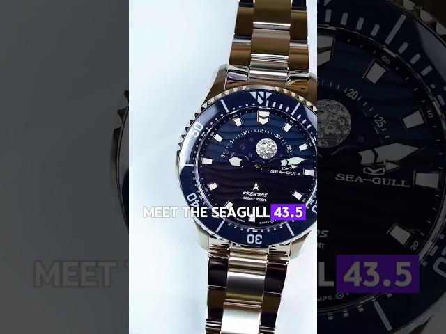 Seagull 43.5mm Dividing Watch 300M Waterproof Automatic Mechanical Wristwatch Moon Phase Luminescent