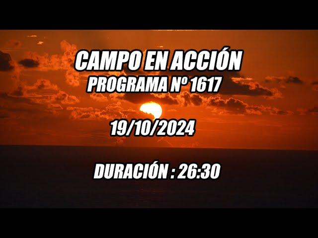 Programa Nº1617 Emisión 19 -10- 2024