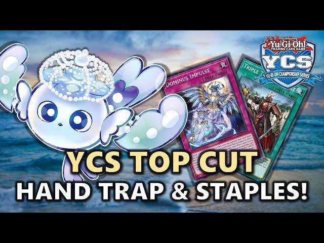 YCS Niagara Top Cut Most Played Hand Traps and Side Deck Staples! | Post ROTA (Rage of the Abyss)