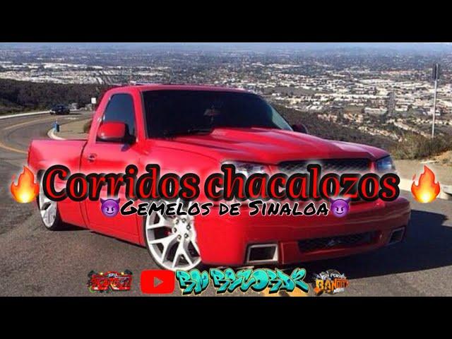 GEMELOS DE SINALOAcorridos chacalozosmix 2022 corridos chingones