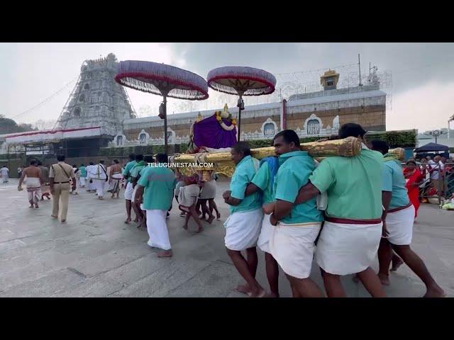 Blessed To See Tirumala Sri Venkateswara Swamy Temple Every Morning