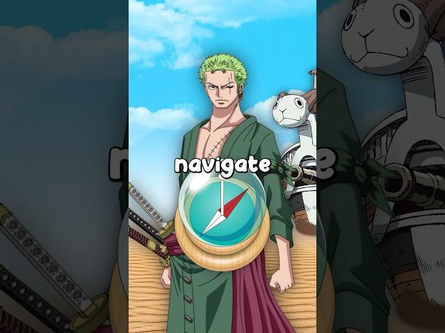 Zoro tried to navigate 