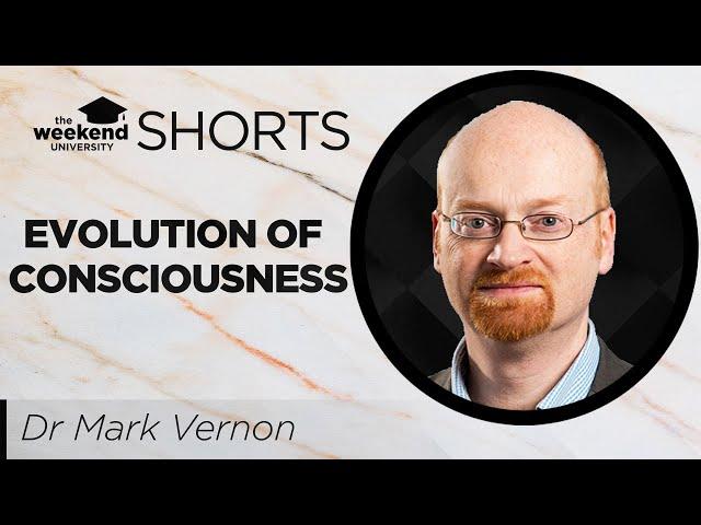 The Evolution of Consciousness