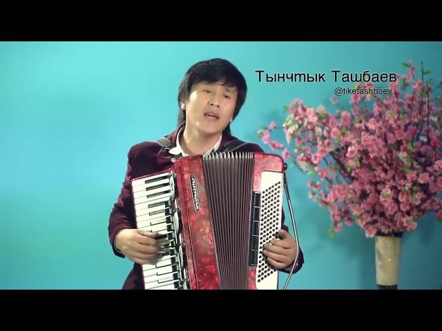 Тынчтык Ташбаев - Теним бар