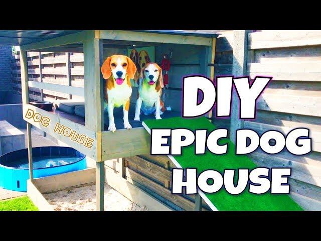 DIY Dog House with Pool , Sandbox and Dog Lounge | Louie The Beagle