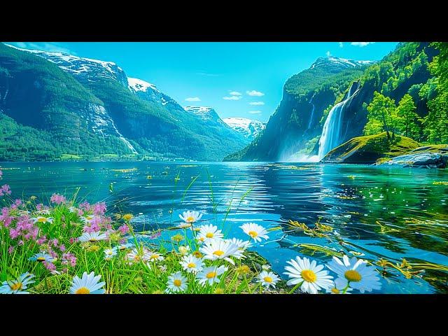 Beautiful Relaxing Music  Stop Overthinking, Stress Relief Music  Gentle Music