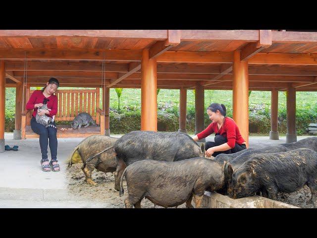 Taking Care of Livestock on the Farm – Peaceful Daily Life & Living Close to Nature