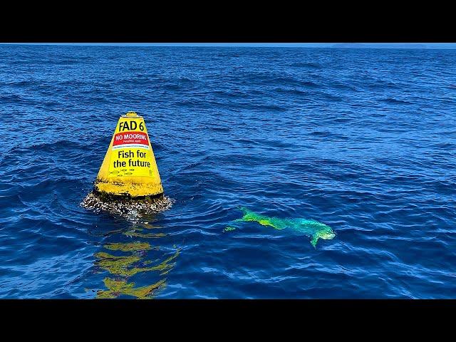 Fishing the 'FAD's' (Fish Aggregating Device)