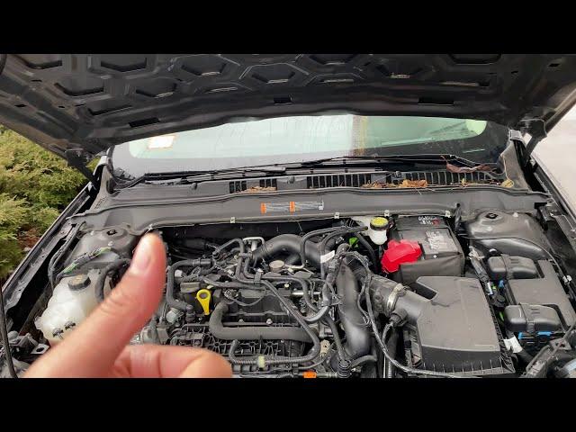 Ford Fusion – Engine coolant