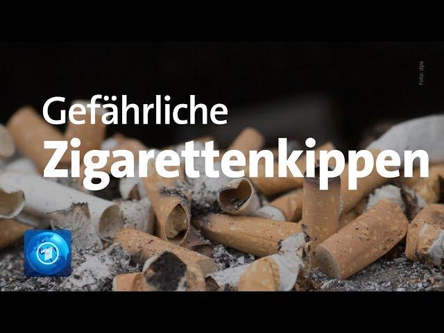 Gefahr für die Umwelt: Zigarettenstummel