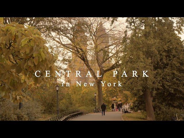 [Playlist] Walk With Me in Central Park, New York