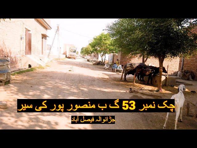 Chak # 53 GB Mansoorpur Jaranwala Dhesian Tour || Pakistan Village Life