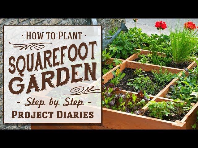  How to: Plant Square Foot Gardening (A Complete Step by Step Guide)