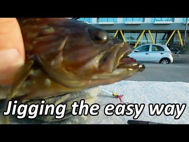 #jigging tutorial  an easy guide using simple methods #fishing #fishingislife