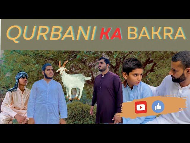 QURBANI KA BAKRA | MR HAMZ | #mrhamza #qurbanikabakra #awareness #emotional #eiduladha #eidspecial