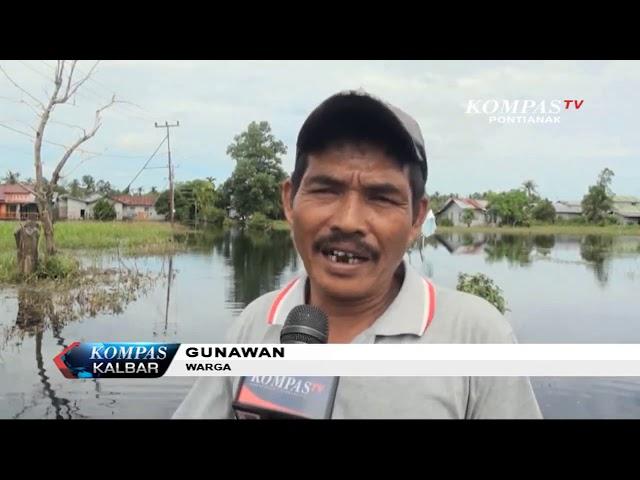 Rumah dan Sawah Terendam, Begini Banjir di Kubu Raya